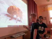 Projektový den: Život včel, včelařství a včelí produkty
